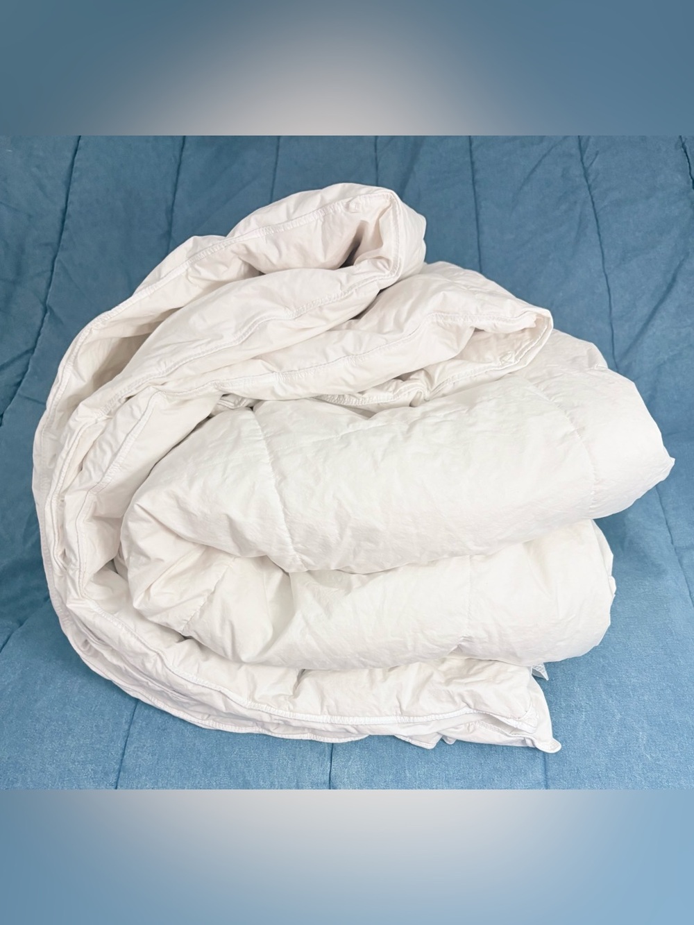 King Goose Down Feather Comforter All Season Plush Hotel Duvet Insert White